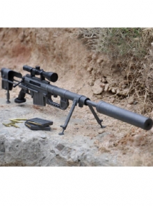 ����������� �������� Cheytac M200 (������)